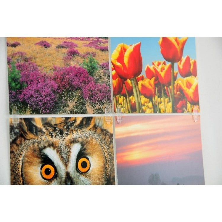 STAS picture hits: utilisez des bandes pour ajuste et centrage parfait.